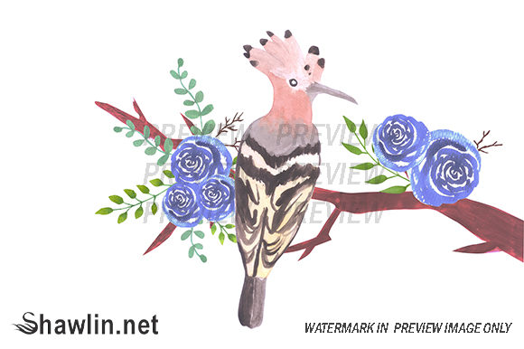 Hoopoe Bird on Floral Branch: A Versatile Artwork for Creative Projects